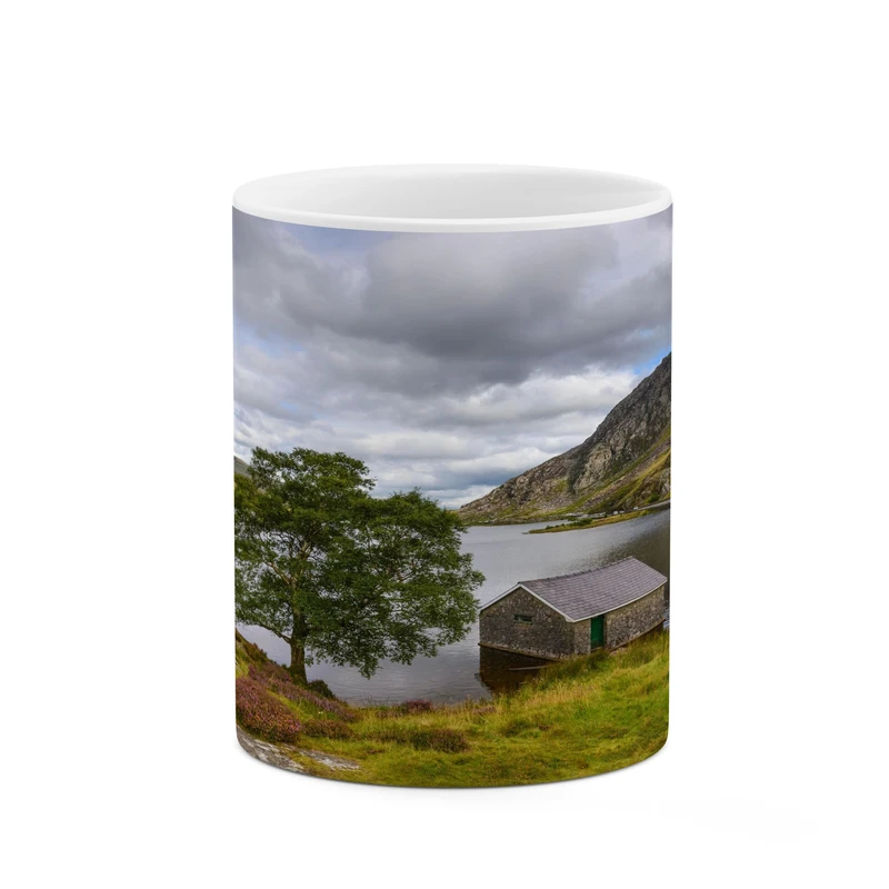 ماگ کاکتی مدل منظره کد mgh17754