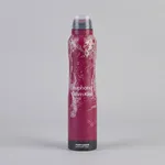 اسپری ضد تعریق و خوش بو کننده بدن زنانه لویز مدل euphoria Calvin Klein حجم 200 میلی لیتر