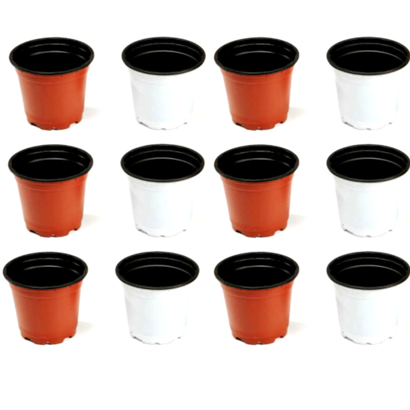 گلدان مدل ژله ای کد A_8 مجموعه 24 عددی