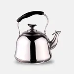 کتری استیل مدل Sooti ظرفیت 4 لیتر