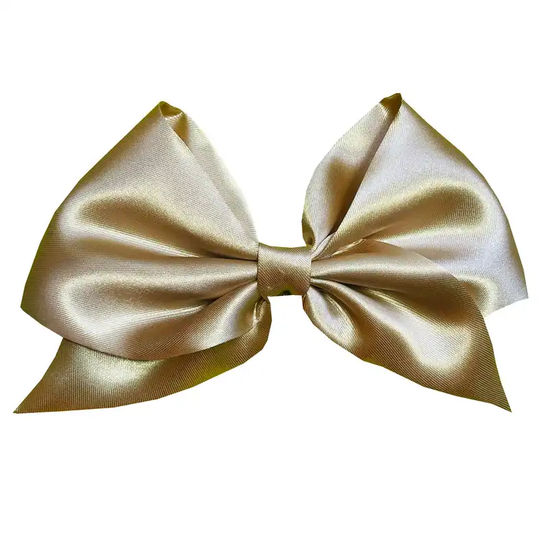 گیره مو زنانه دون دزا مدل پاپیون فرانسوی کد 301-1