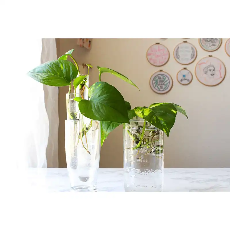 گلدان شیشه ای مدل 10D10 8D20 مجموعه 2 عددی