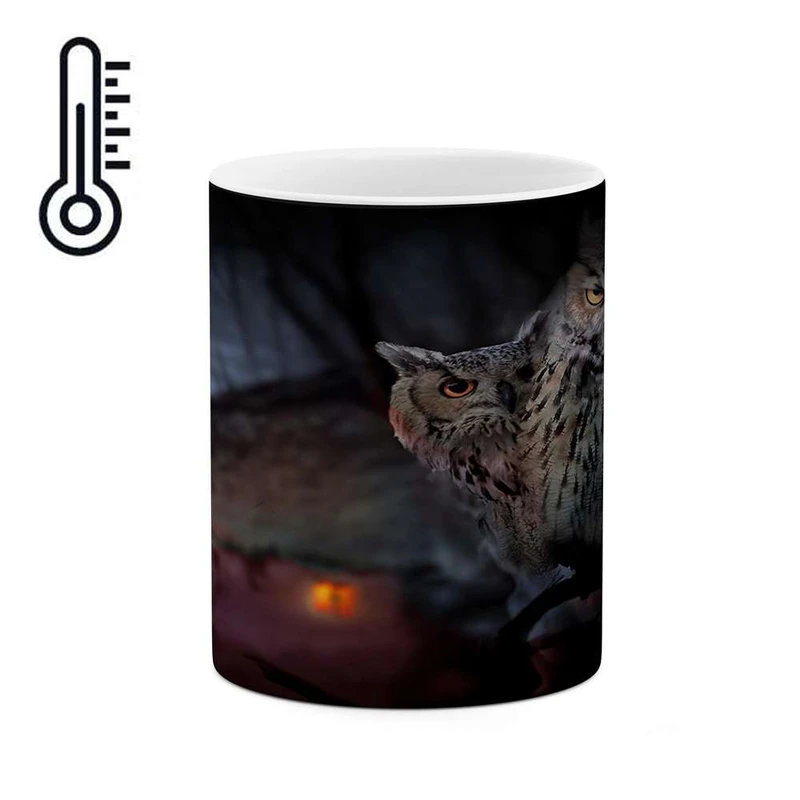 ماگ حرارتی کاکتی مدل جغد کد mgh16901