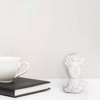 نقد و بررسی مجسمه طرح داوود توسط خریداران