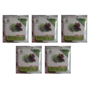 بذر ریحان بنفش سبزرویش کد R5 مجموعه 5 عددی