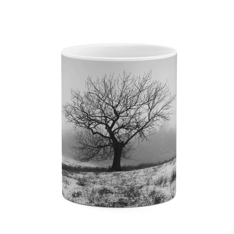 ماگ کاکتی مدل منظره برفی کد mgh14925