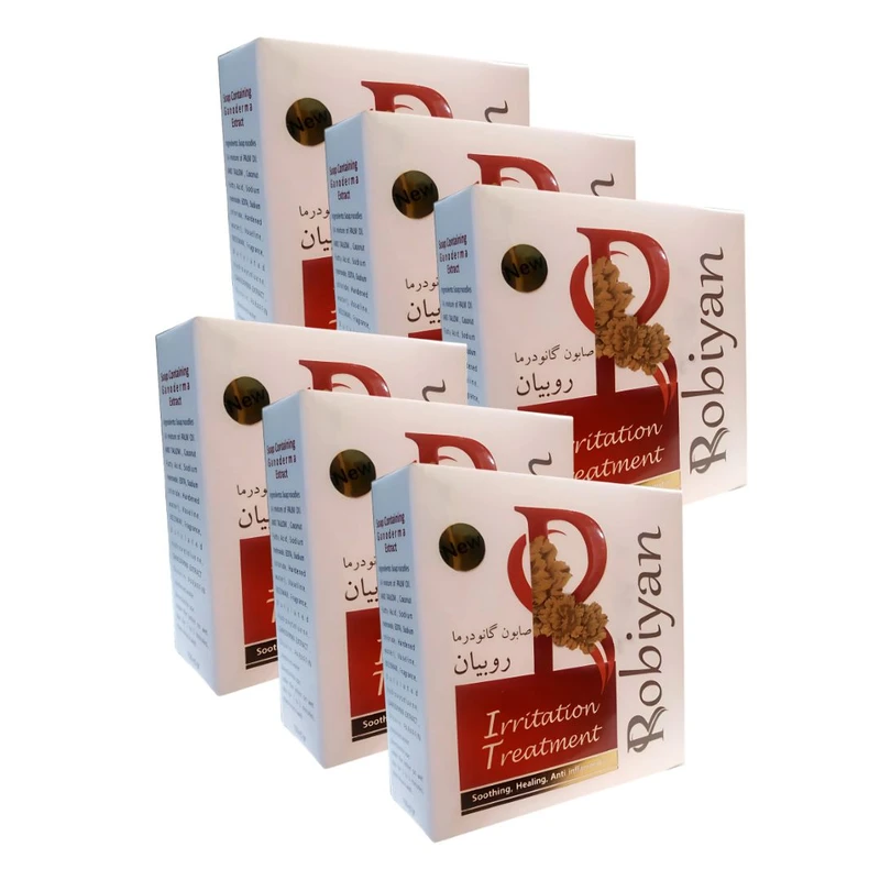 صابون شستشو روبیان مدل گانودرما وزن 100 گرم مجموعه 6 عددی