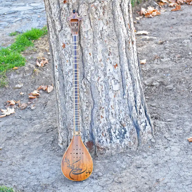 سه تار ایران ساز مدل دل