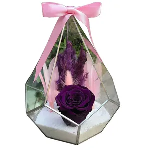 گل رز جاودان مدل Amor