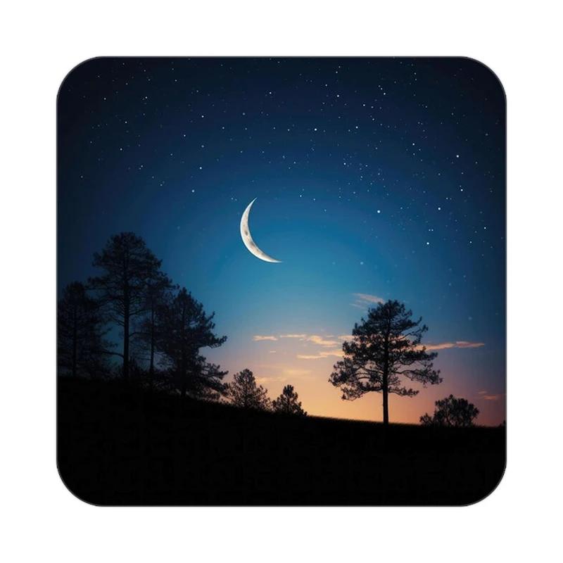 زیر لیوانی کاکتی طرح ماه و ستاره مدل mp53133