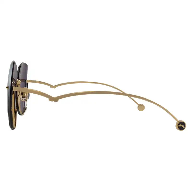 عینک آفتابی زنانه مولسیون مدل MS7081A6061