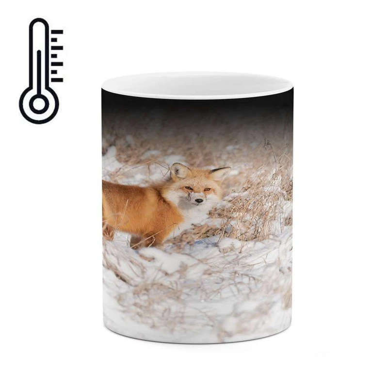 ماگ حرارتی کاکتی مدل روباه کد mgh14046