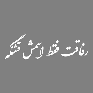 برچسب بدنه خودرو طرح رفاقت فقط اسمش قشنگه کد MT-W421