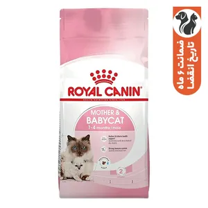 غذا خشک گربه نابالغ رویال کنین مدل Mother and Baby cat وزن 2000 گرم