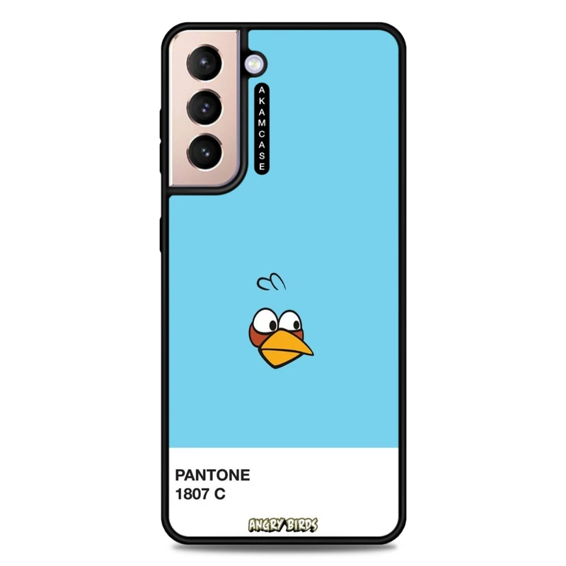 کاور آکام مدل AMC-WSGS21P-ANGRY BIRDS10 مناسب برای گوشی موبایل سامسونگ Galaxy S21 Plus