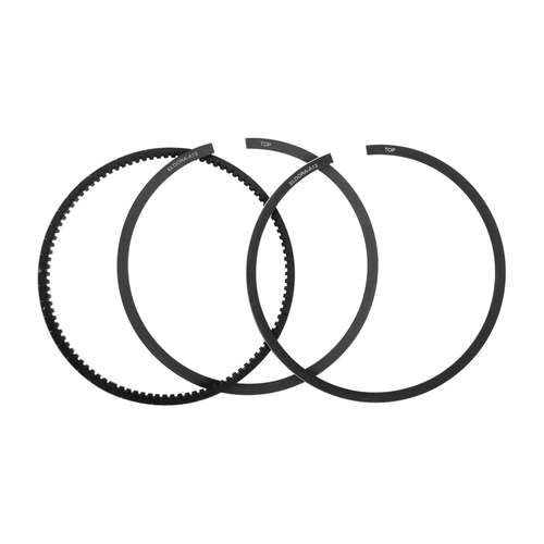 رینگ موتور الدورا کد 87120645 مناسب برای پژو 405 XU9 بسته 12 عددی