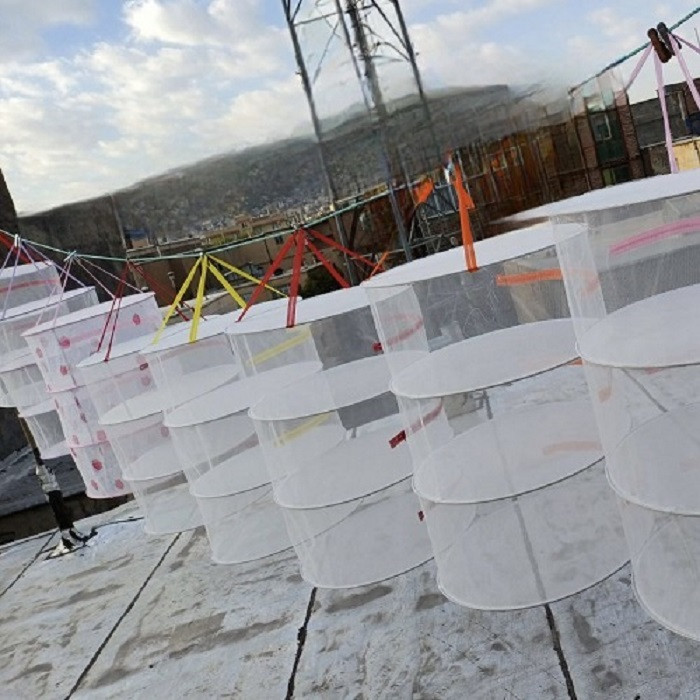 توری سبزی و میوه خشک کن مدل ستاره