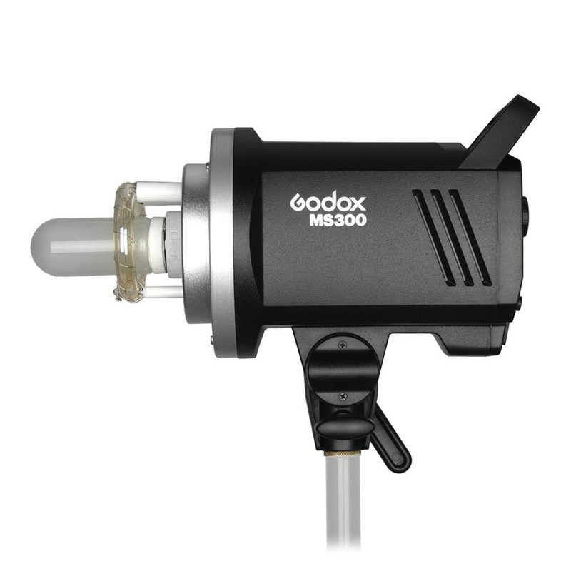 فلاش گودکس مدل MS 300