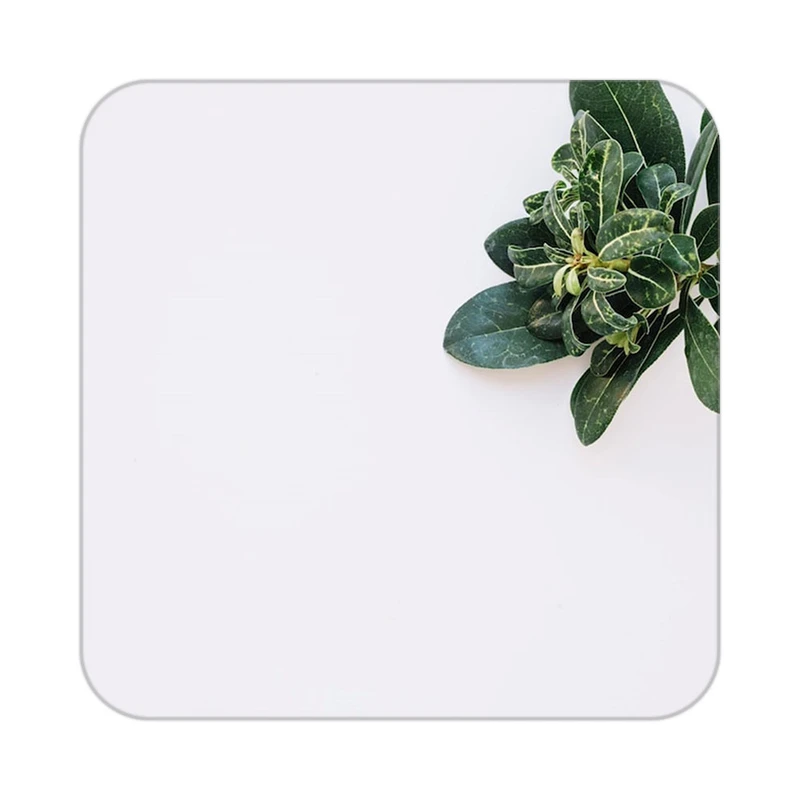 زیر لیوانی کاکتی طرح گل مدل mp18814