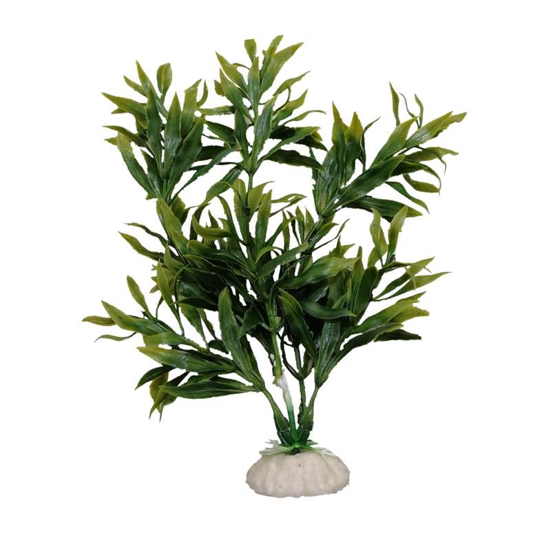 گیاه تزیینی آکواریوم مدل ایکیا