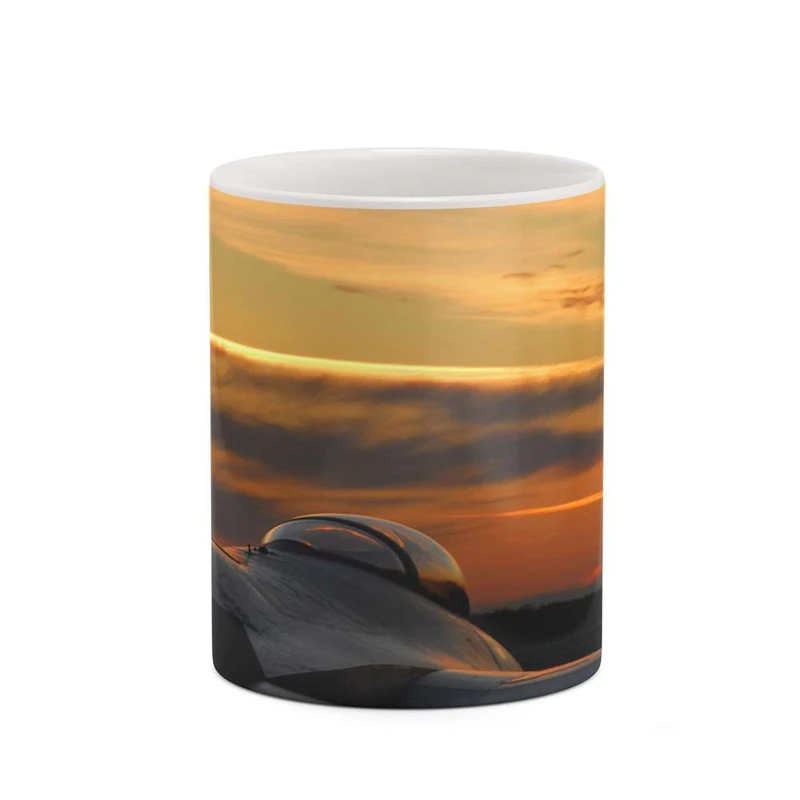 ماگ کاکتی مدل هواپیمای جنگنده کد mgh20371