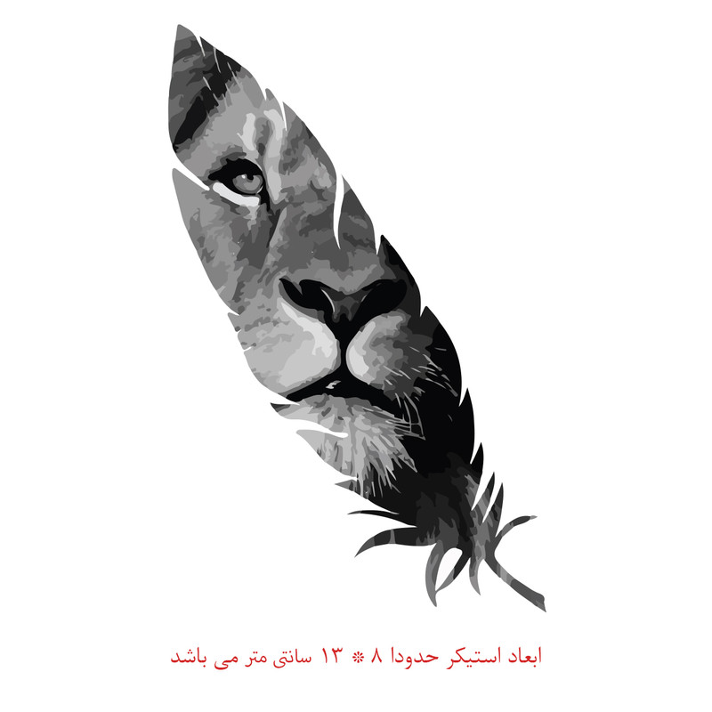 برچسب بدنه خودرو مدل برگ کد 259