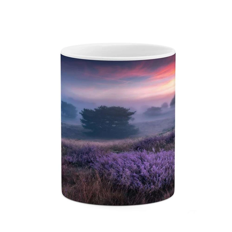 ماگ کاکتی مدل منظره کد mgh14087