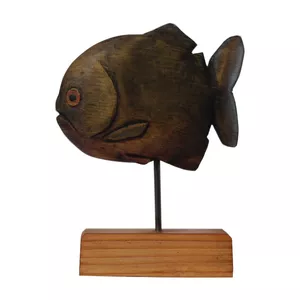 مجسمه مدل ماهی پیرانا