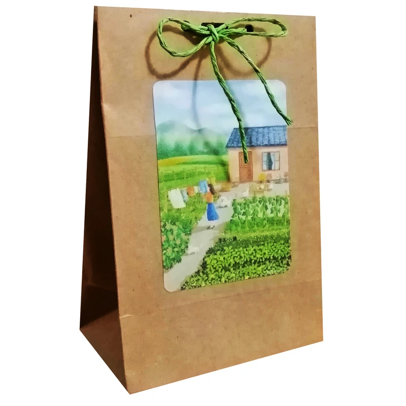 پاکت هدیه مدل نوروز و سال نو مجموعه دو عددی