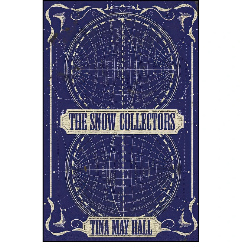 کتاب The Snow Collectors اثر Tina May Hall انتشارات Dzanc Books