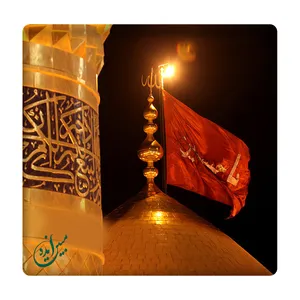 کاشی مبین ایده مدل کربلا km10 کد 114