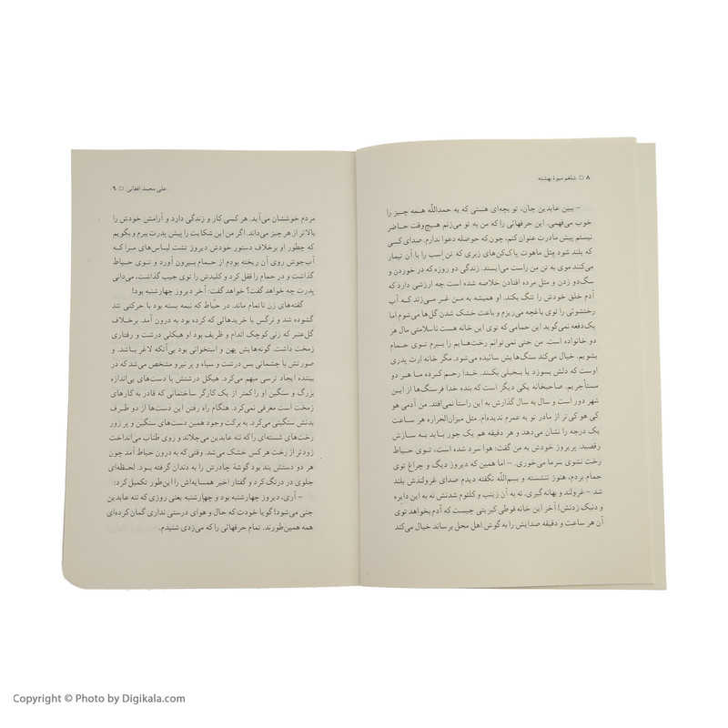 کتاب شلغم میوه بهشته اثر علی محمد افغانی نشر نگاه