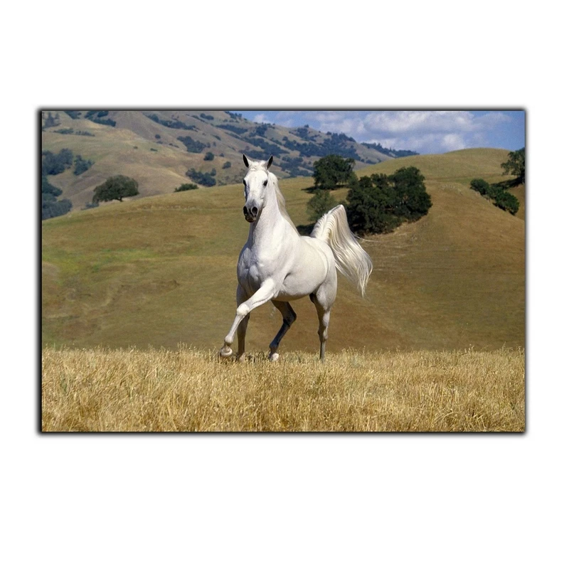 تابلو شاسی بکلیت طرح مزرعه و اسب مدل SH-7514