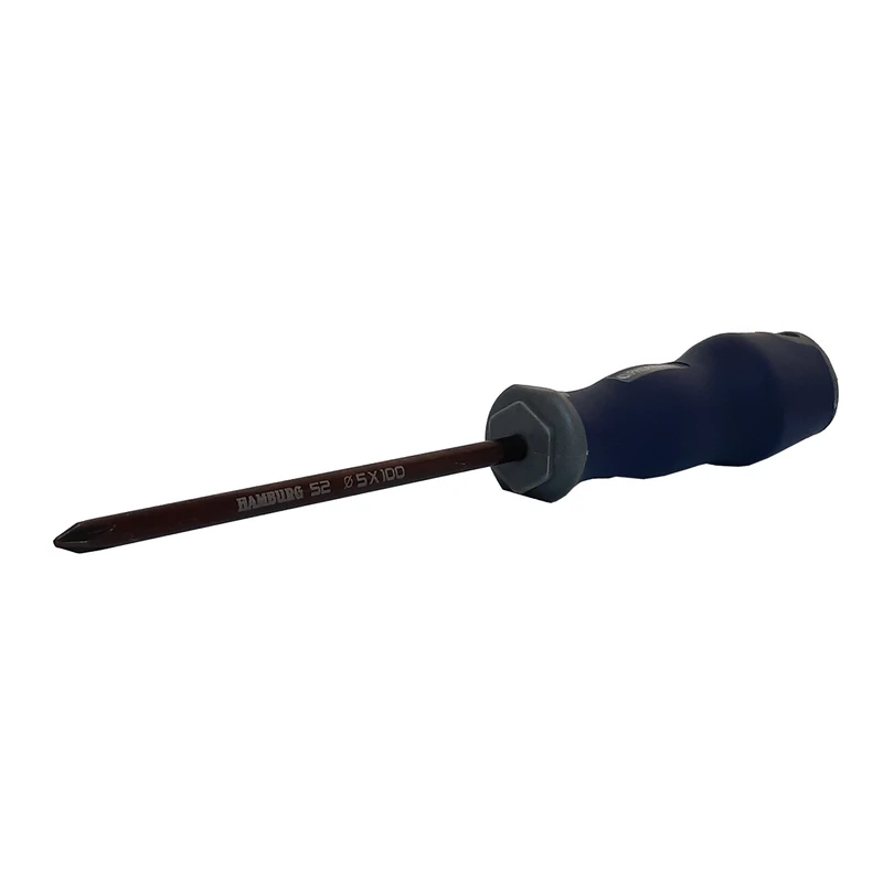 پیچ گوشتی چهارسو هامبورگ مدل HT -005100 