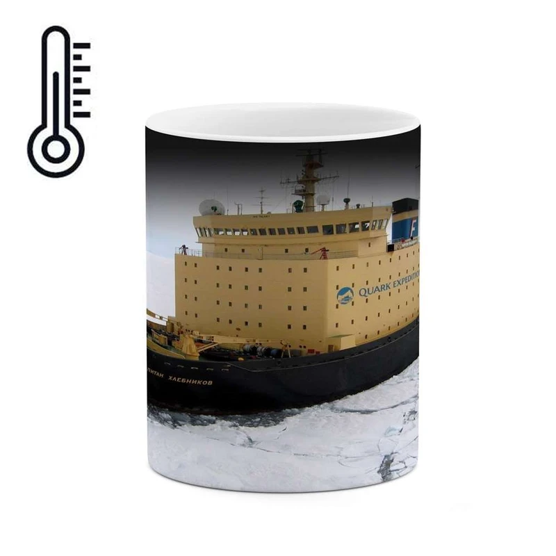 ماگ حرارتی کاکتی مدل کشتی کد mgh15443