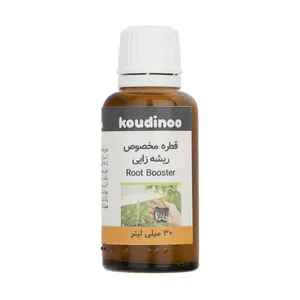  هورمون ریشه زایی کودینو مدل Root Booster  حجم 30 میلی لیتر