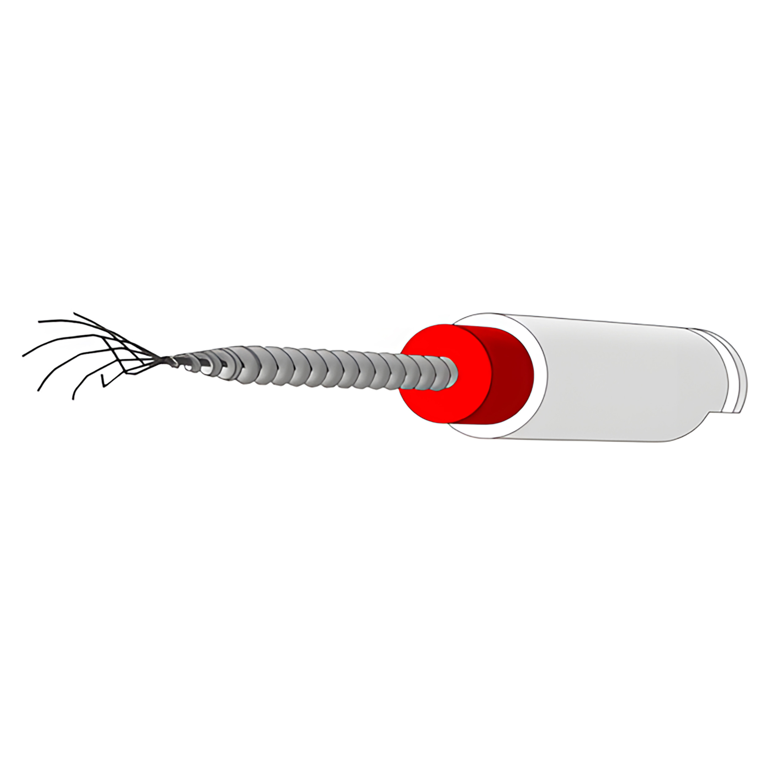 فایل براش فینیشر کانال دنتونیک مدل Brush Finisher File فایل براش فینیشر کانال دنتونیک مدل Brush Finisher File