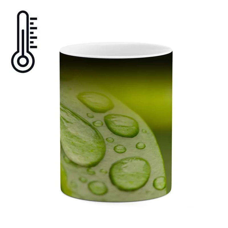 ماگ حرارتی کاکتی مدل فانتزی کد mgh15500