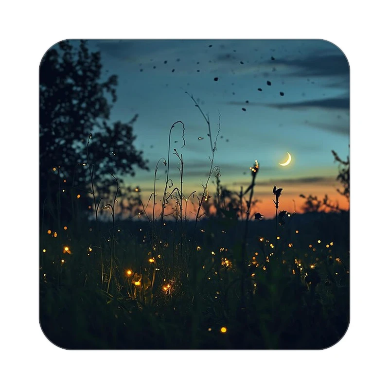 زیر لیوانی کاکتی طرح ماه و ستاره مدل mp53259