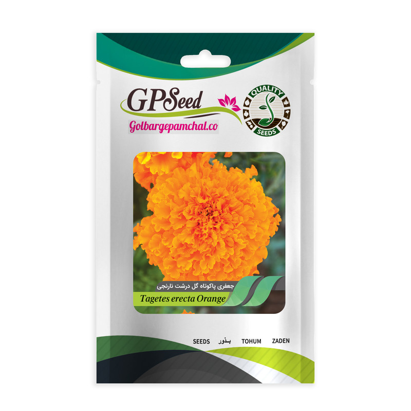 بذر گل جعفری پاکوتاه نارنجی گلبرگ پامچال کد GPF-039