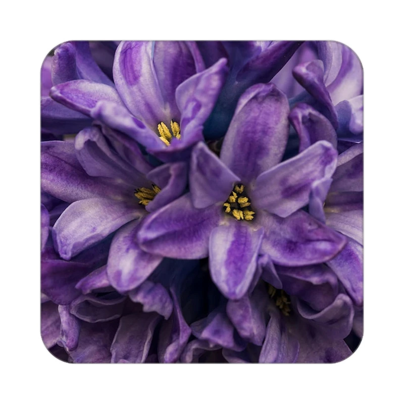 زیر لیوانی کاکتی طرح گل مدل mp16035