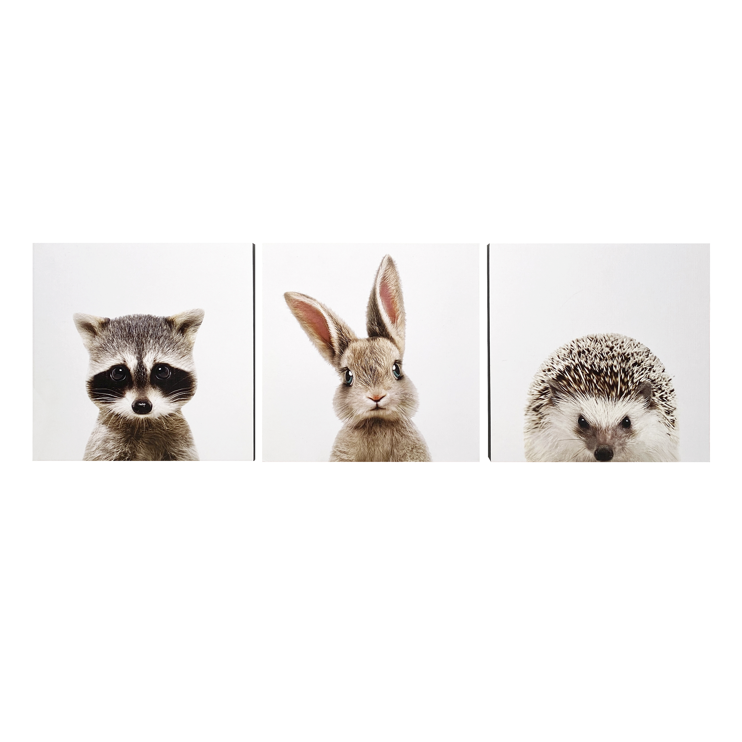 تابلو شاسی کودک الفاپ مدل Animals  مجموعه 3 عددی