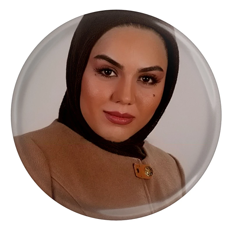 مگنت طرح آزاده زارعی مدل S8501 