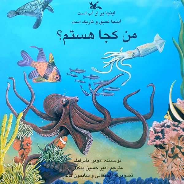 کتاب اینجا پر از آب است، اینجا عمیق و تاریک است، من کجا هستم؟ اثر مویرا باترفیلد انتشارات کانون پرورش فکری کودکان و نوجوانان