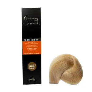 رنگ مو استیل مدل Professional شماره 10.0 حجم 100 میلی لیتر رنگ بلوند پلاتینه تیره