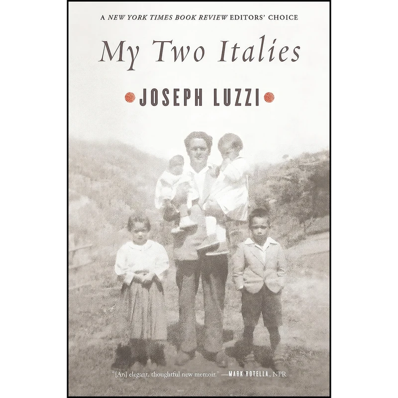 کتاب My Two Italies اثر Joseph Luzzi انتشارات Farrar, Straus and Giroux