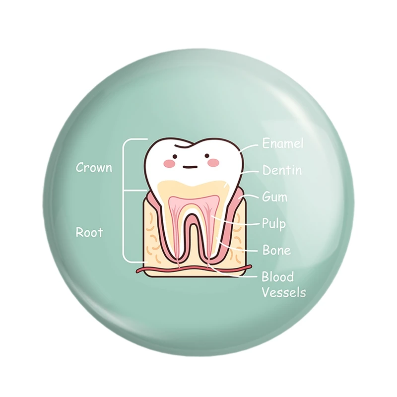 پیکسل خندالو مدل دندان و دندانپزشکی کودکانه کد 27754