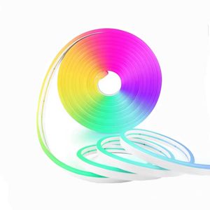 ریسه نئون دریم لایت مدل برنامه پذیر طول ۵متر به همراه آداپتور