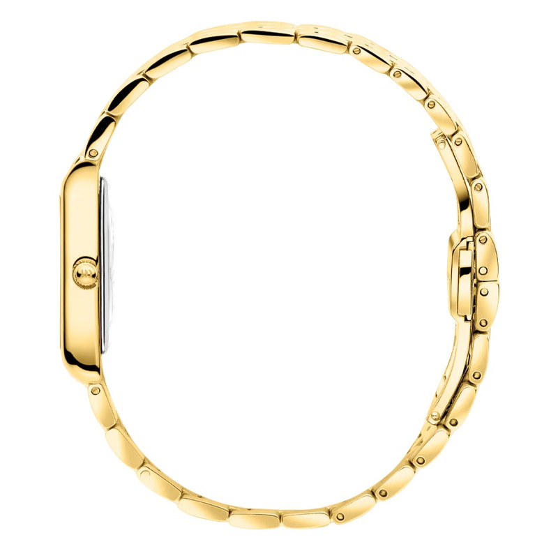 ساعت مچی عقربه‌ای زنانه دنیش دیزاین مدل IV05Q1298