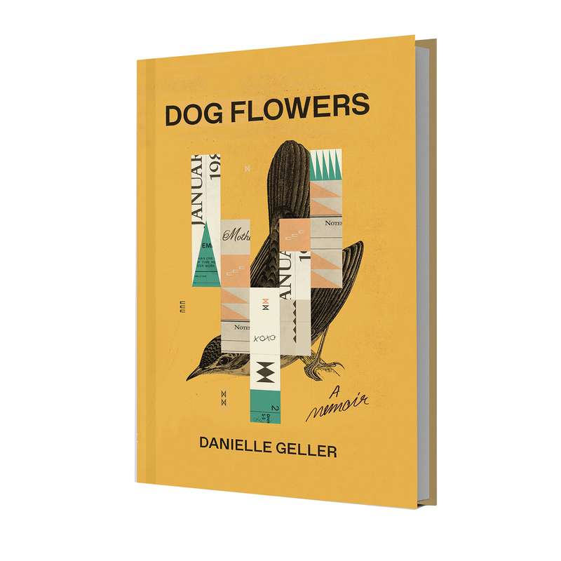 کتاب Dog Flowers اثر دنیل گلر نشر خانه رود